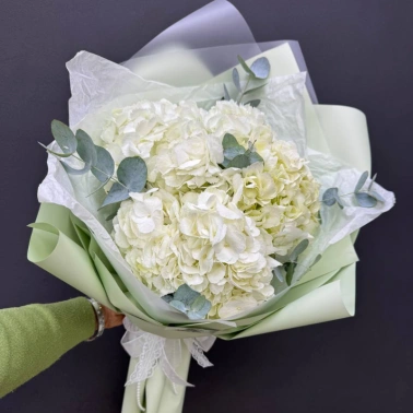 Монобукет из гортензий «Белое облако»