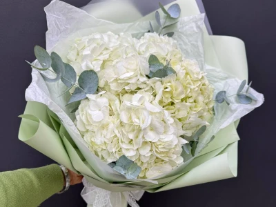 Монобукет из гортензий «Белое облако»