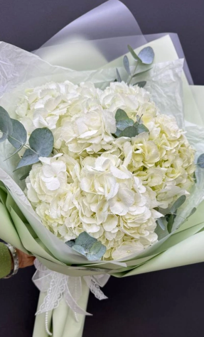 Монобукет из гортензий «Белое облако»