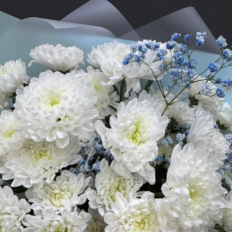 Букет из хризантем с голубой гипсофилой &laquo;Небесный&raquo;
