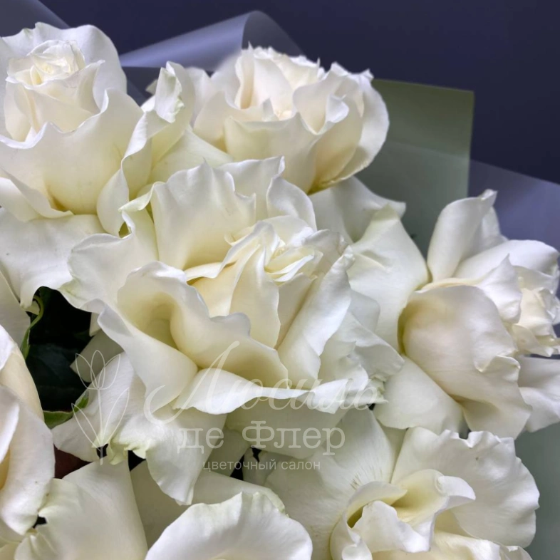 Монобукет из белых французских роз &laquo;Безе&raquo;