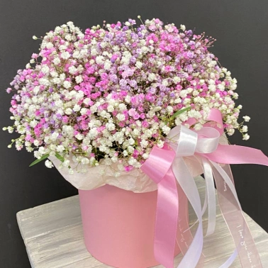 Монобукет из гипсофилы в шляпной коробке «Розовое облако»