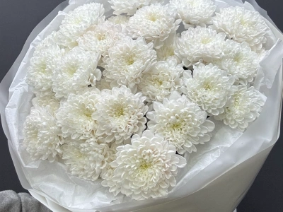 Монобукет из хризантем «Снежный»