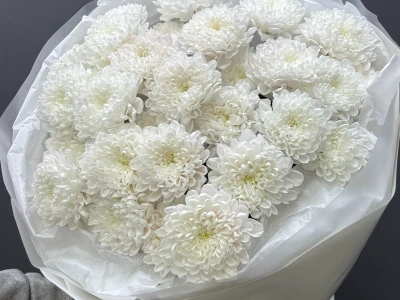 Монобукет из хризантем «Снежный»