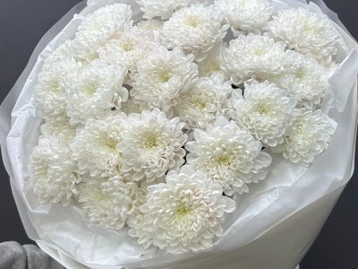 Монобукет из хризантем «Снежный»