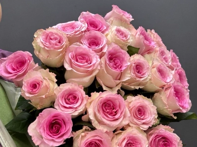 Монобукет из 25 розовых роз «Мандала»