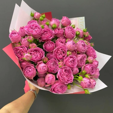 Монобукет из пионовидных кустовых роз «Малина»