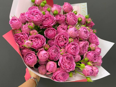 Монобукет из пионовидных кустовых роз «Малина»