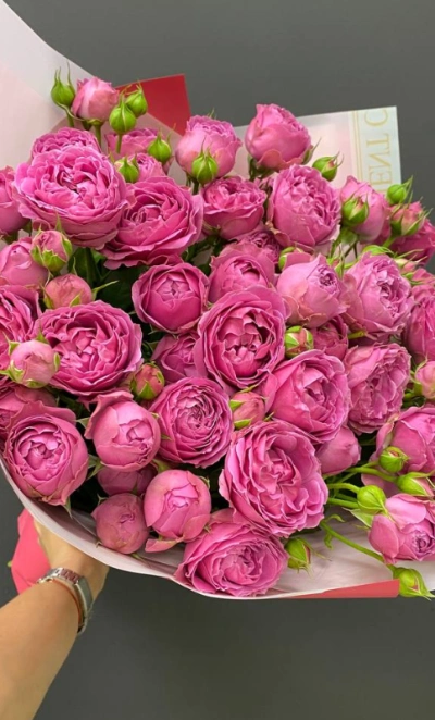 Монобукет из пионовидных кустовых роз «Малина»