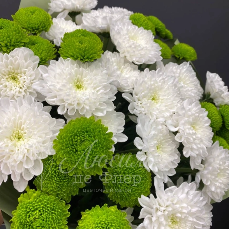 Монобукет из хризантем &laquo;Свежесть&raquo;