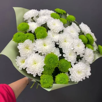 Монобукет из хризантем «Свежесть»