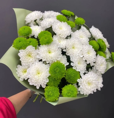 Монобукет из хризантем «Весенний»