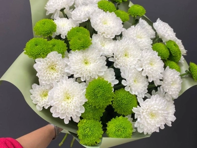 Монобукет из хризантем «Весенний»