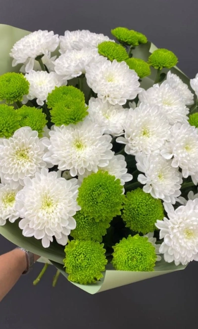 Монобукет из хризантем «Весенний»