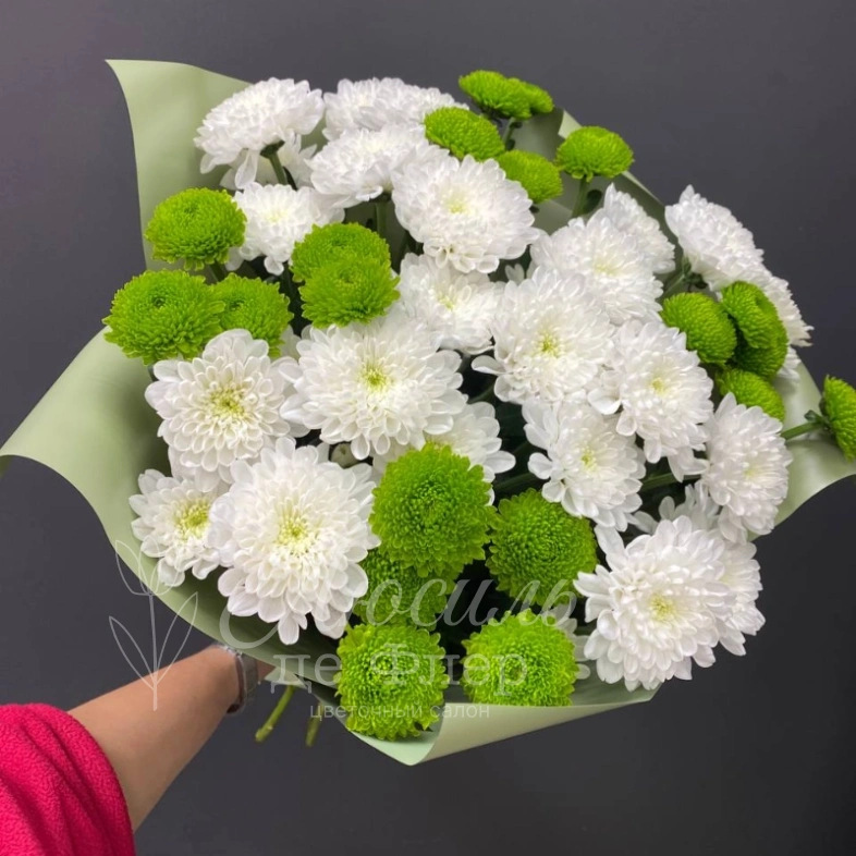 Монобукет из хризантем &laquo;Весенний&raquo;